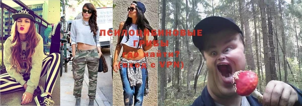 а пвп мука Кодинск